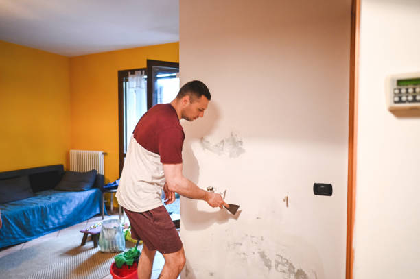Best Fast Mold Removal  in Chester, VA